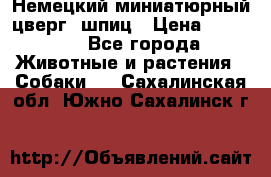 Немецкий миниатюрный(цверг) шпиц › Цена ­ 50 000 - Все города Животные и растения » Собаки   . Сахалинская обл.,Южно-Сахалинск г.